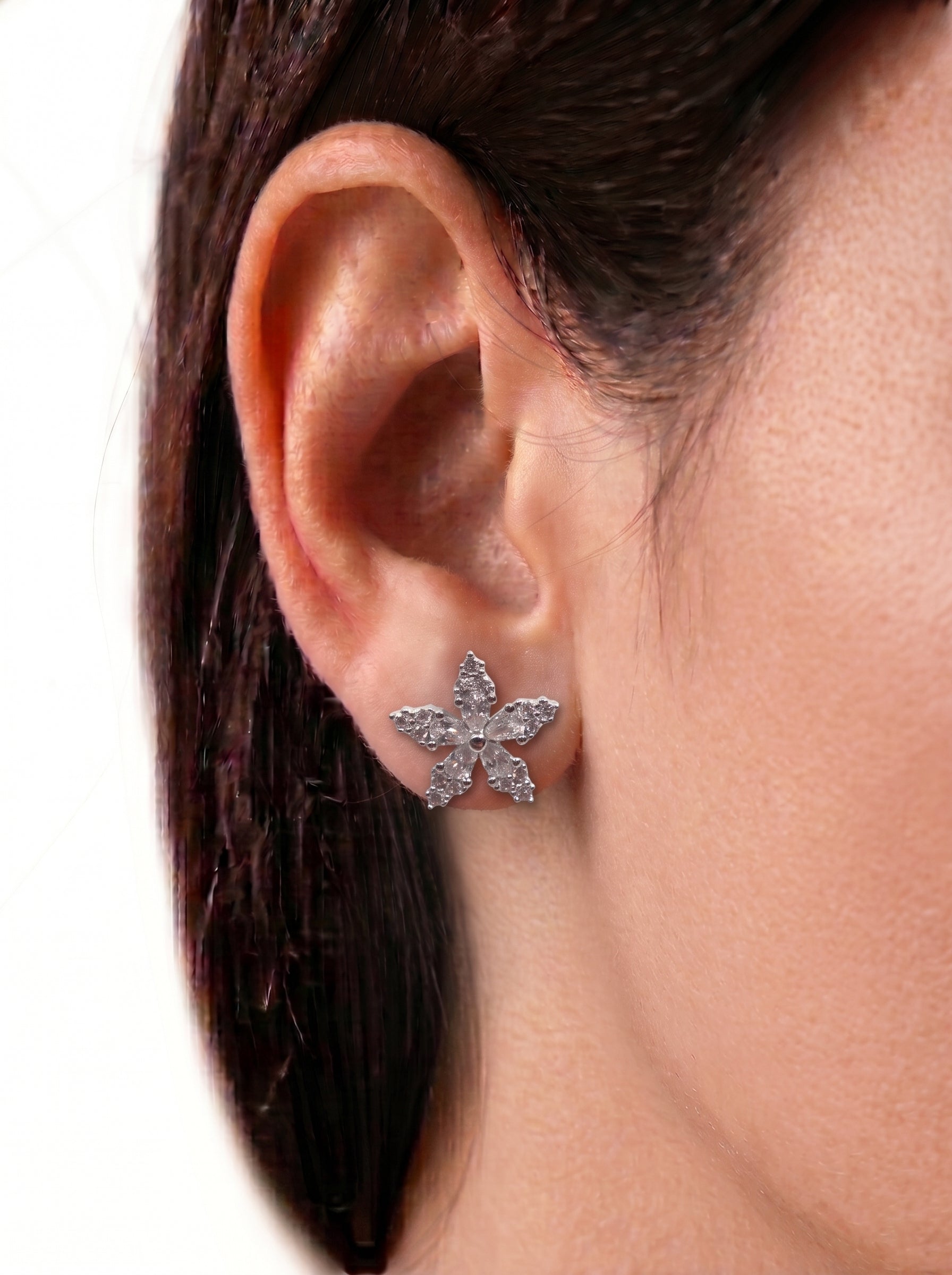 Brinco Cristal Zirconia Prata 2007