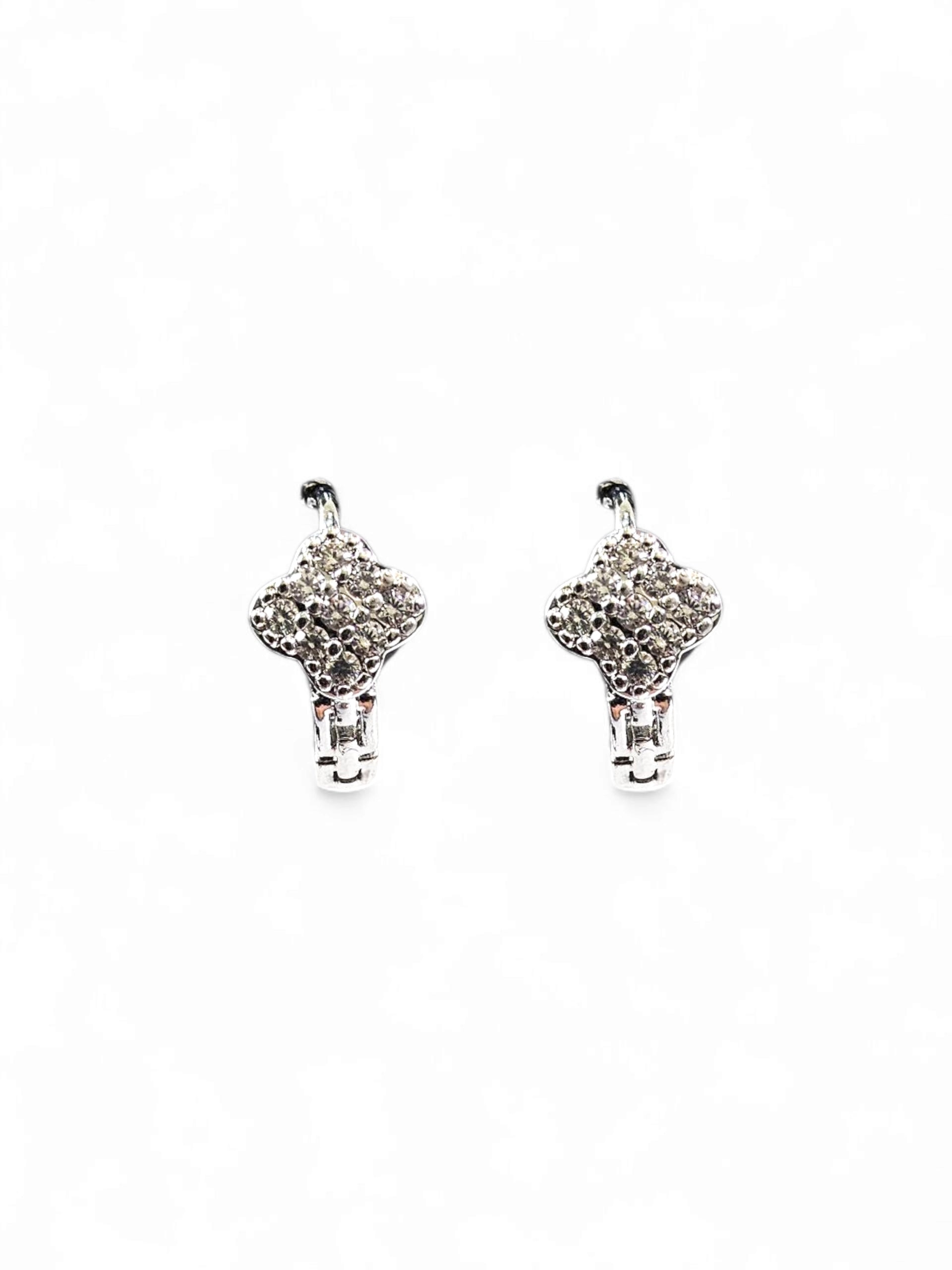 Brinco Argola Zirconia Prata 014